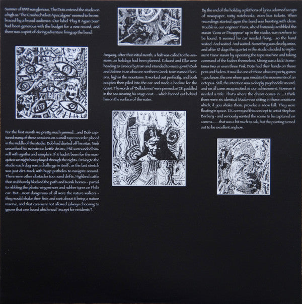 The Legendary Pink Dots : The Maria Sessions (2xLP, Album)