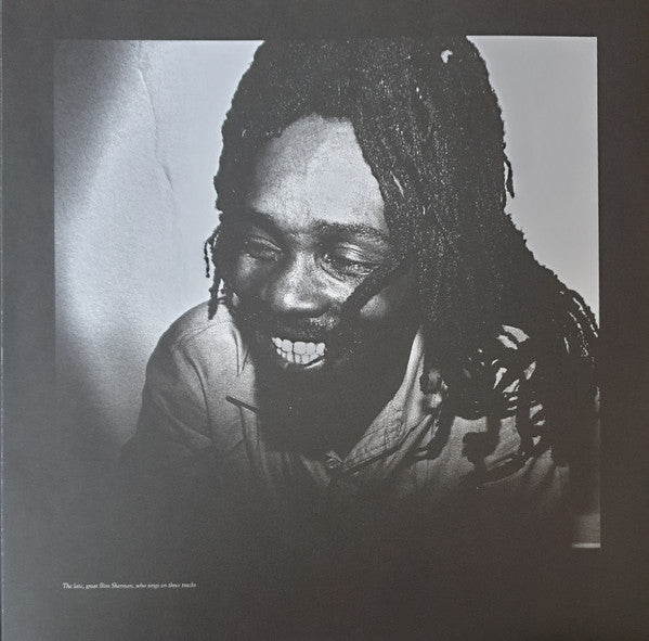 Dub Syndicate : Displaced Masters (LP, Album)