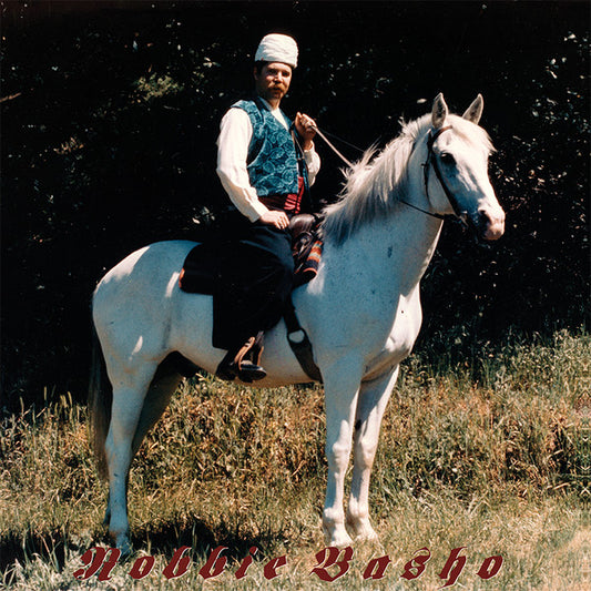 Robbie Basho : Land Of Our Fathers (Rarities 1967-1983) (LP)
