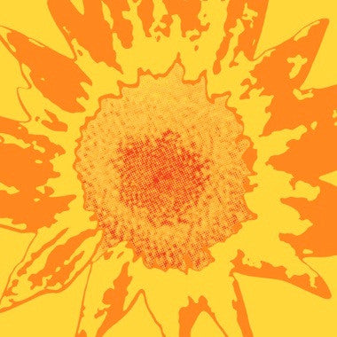 Oneida : Each One Teach One (2xLP, Album, RE)