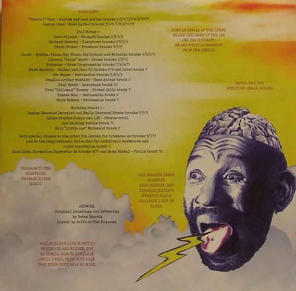 Lee Scratch Perry* : Heavy Rain (LP, Album)