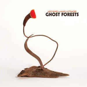 Meg Baird & Mary Lattimore : Ghost Forests (LP, Album, Ltd, RE, Cok)