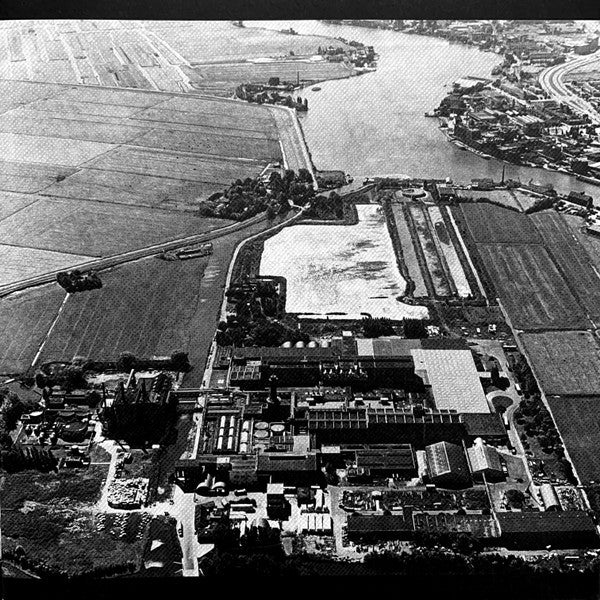 The Ex : Dignity Of Labour (LP, Album, RE)