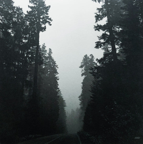 Grouper : Shade (LP, Album)