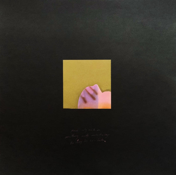 Grouper : Shade (LP, Album)