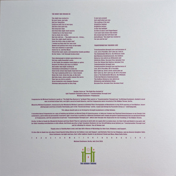 Michael Cashmore : The Night Has Rushed In (LP, Album, Cle)