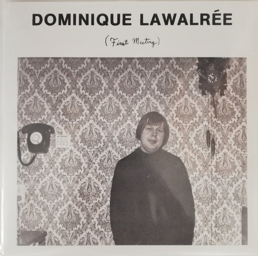 Dominique Lawalrée : First Meeting  (LP, Album, Comp, Ltd, RE, Cle)