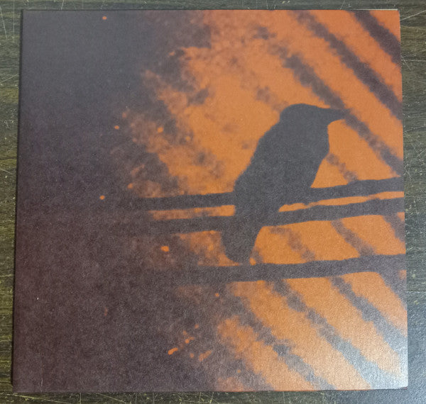 The Silver Mt. Zion Memorial Orchestra & Tra-La-La Band* : Born Into Trouble As The Sparks Fly Upward. (2x10", Album, RP)