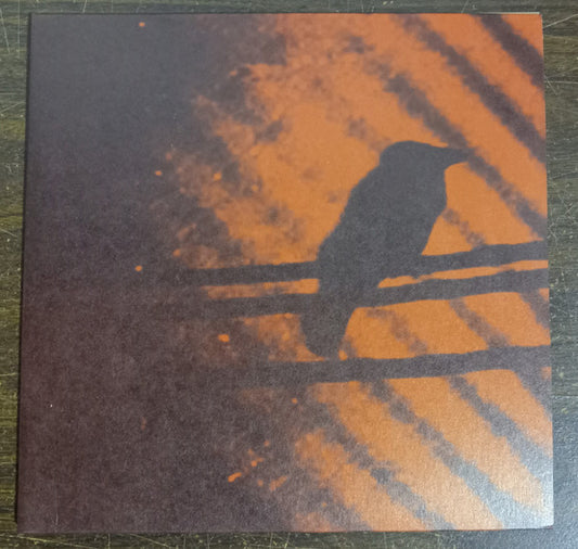 The Silver Mt. Zion Memorial Orchestra & Tra-La-La Band* : Born Into Trouble As The Sparks Fly Upward. (2x10", Album, RP)