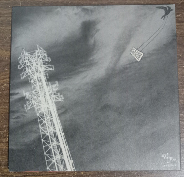The Silver Mt. Zion Memorial Orchestra & Tra-La-La Band* : Born Into Trouble As The Sparks Fly Upward. (2x10", Album, RP)