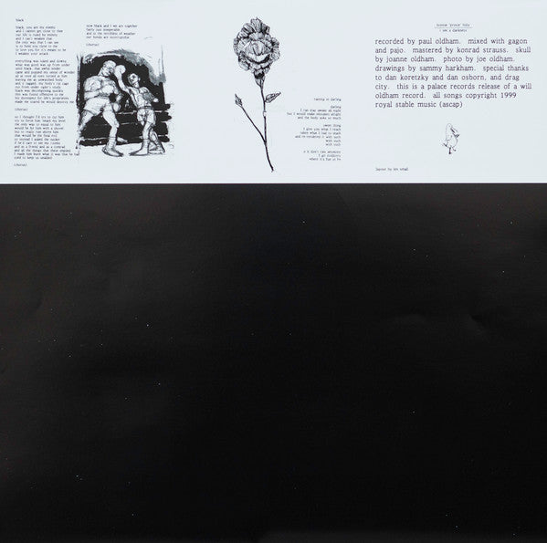 Bonnie "Prince" Billy : I See A Darkness (LP, Album)