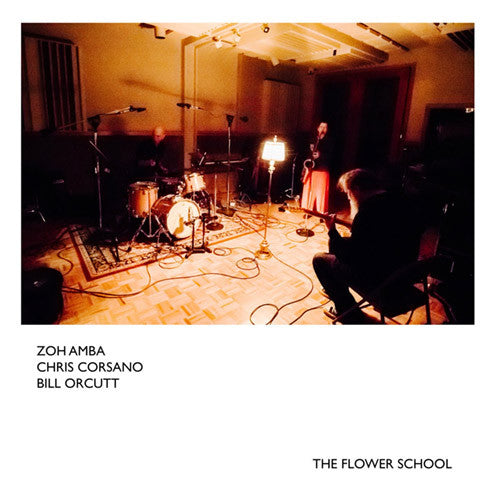 Zoh Amba & Chris Corsano & Bill Orcutt : The Flower School (LP, Album)
