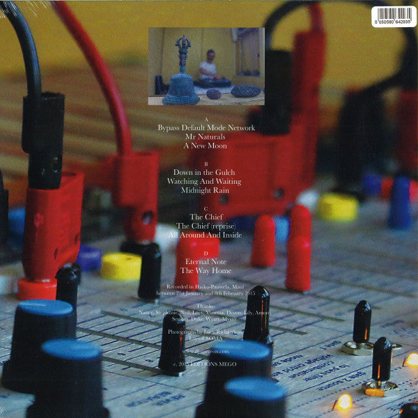 Anthony Child : Electronic Recordings From Maui Jungle Vol 1 (2xLP, Album)