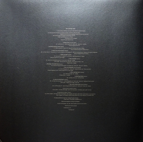 Tindersticks : The Waiting Room (LP, Album, Gat + DVD-V + Ltd)