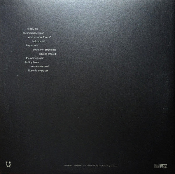 Tindersticks : The Waiting Room (LP, Album, Gat + DVD-V + Ltd)