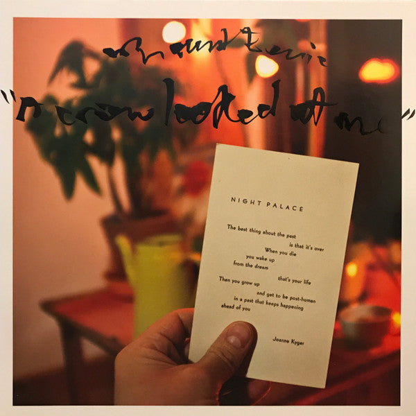 Mount Eerie : A Crow Looked At Me (LP, Album)
