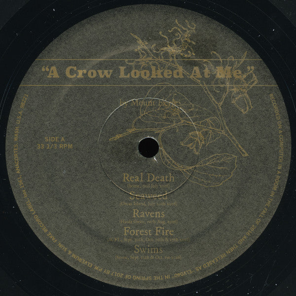 Mount Eerie : A Crow Looked At Me (LP, Album)