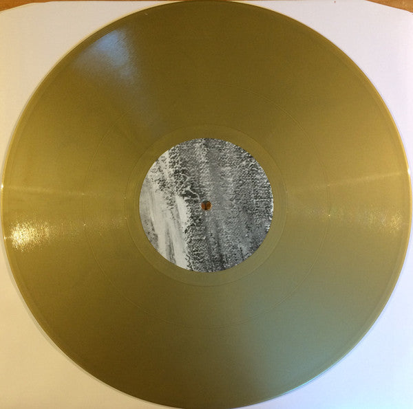 Leyland Kirby : Sadly, The Future Is No Longer What It Was (2xLP, Album, Ltd, RP, Gol)