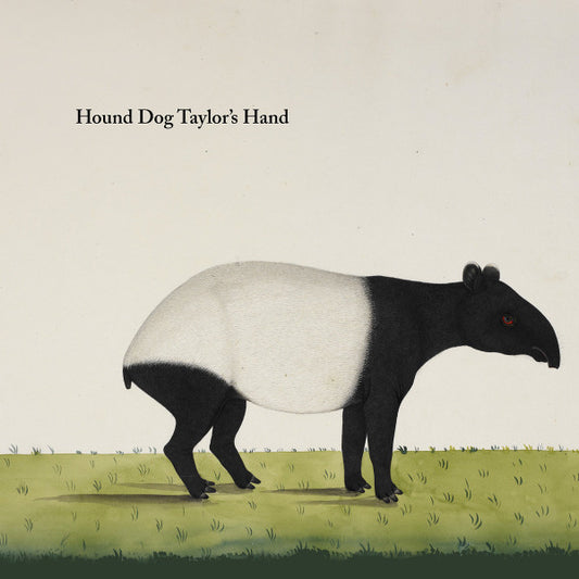 Hound Dog Taylor's Hand : Hound Dog Taylor's Hand (LP)