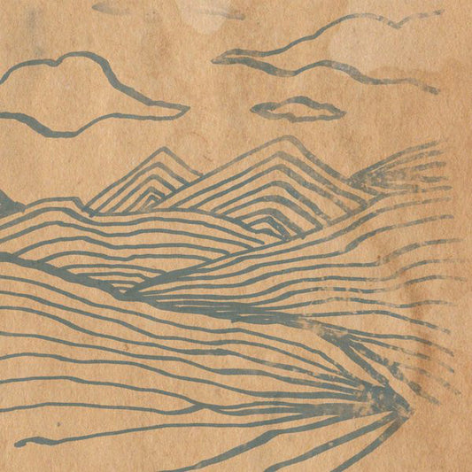 Wooden Wand : Farmer's Corner (LP, Album)