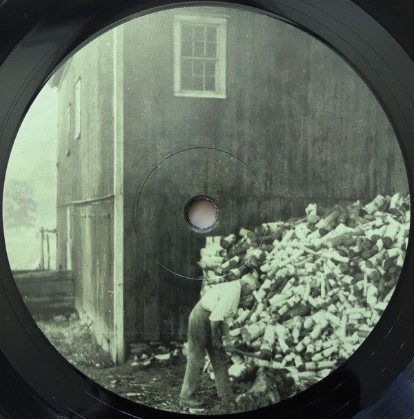 Vic Chesnutt : At The Cut (LP, Album)