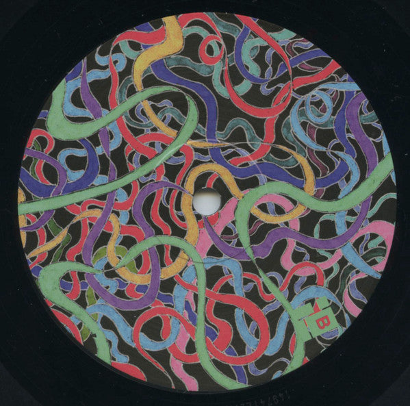 Charlemagne Palestine & Grumbling Fur Time Machine Orchestra* : Omminggg And Schlomminggg (2xLP)
