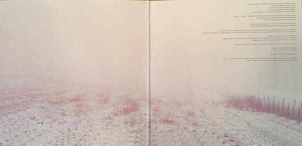 Slowdive : Slowdive (LP, Album)