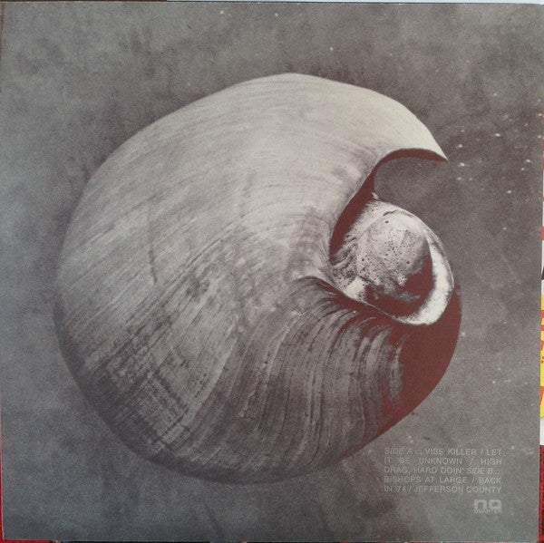 Endless Boogie : Vibe Killer (LP, Album)