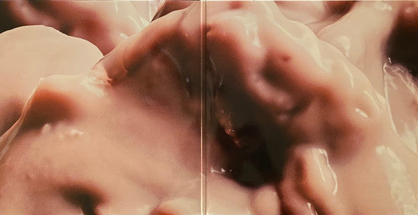 The Horrors : V (2xLP, Album, 180)