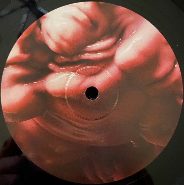 The Horrors : V (2xLP, Album, 180)