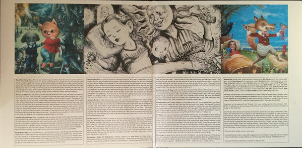 The Angels Of Light : We Are Him (2xLP, Album)