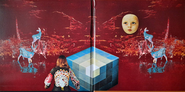 Black Mountain : In The Future (2xLP, Album, Gat)