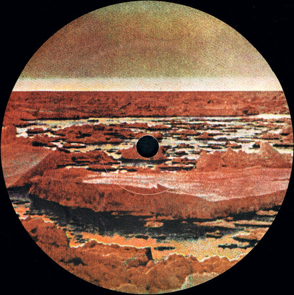 Black Mountain : In The Future (2xLP, Album, Gat)