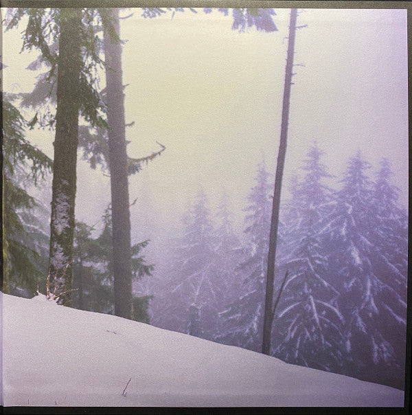 Mount Eerie : (After) (2xLP, Album)