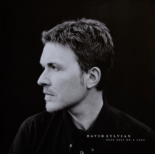David Sylvian : Dead Bees On A Cake (2xLP, Album, RE, Exp)
