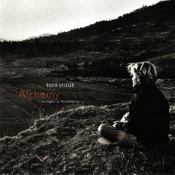 David Sylvian : Alchemy An Index Of Possibilities (LP, Album, RE, 180)