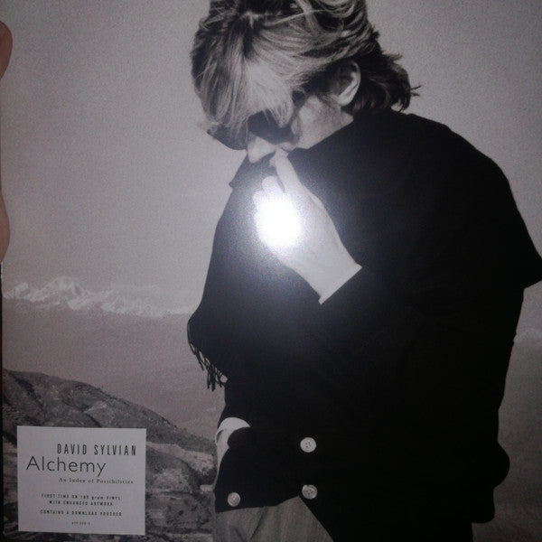 David Sylvian : Alchemy An Index Of Possibilities (LP, Album, RE, 180)
