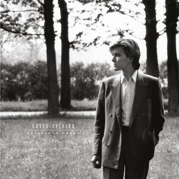 David Sylvian : Brilliant Trees (LP, Album, RE, RM, 180)