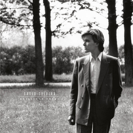 David Sylvian : Brilliant Trees (LP, Album, RE, RM, 180)