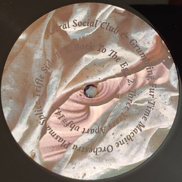 Astral Social Club & Grumbling Fur : Plasma Splice Trifle (LP, Album)