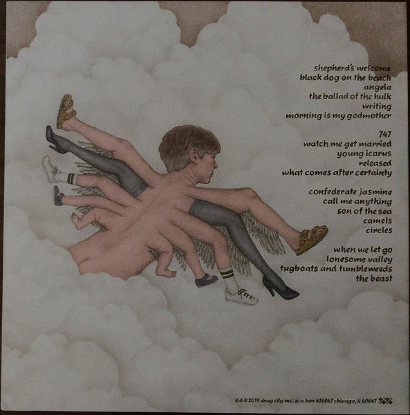 Bill Callahan : Shepherd In A Sheepskin Vest (2xLP, Album)