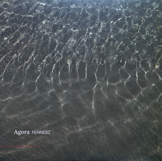 Fennesz : Agora (LP, Album)