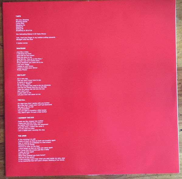Ty Segall : First Taste (LP, Album, Top)