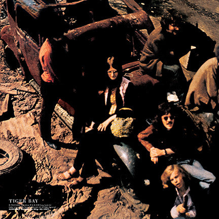 The Deviants (2) : Disposable (LP, Album, RE, Cle)