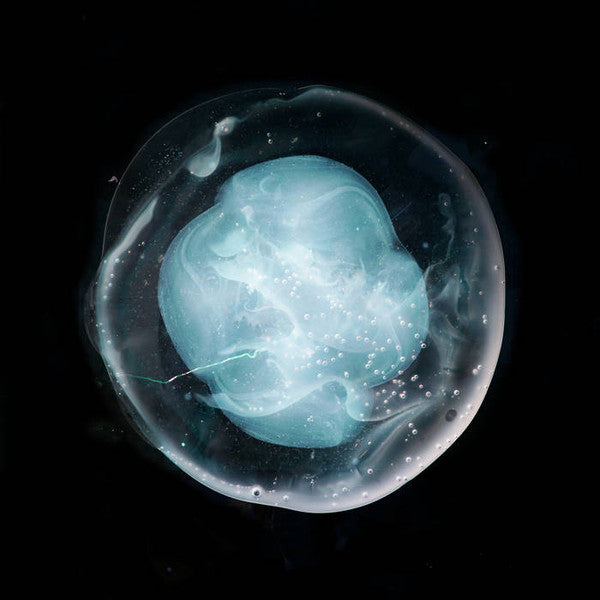 A Winged Victory For The Sullen : The Undivided Five (LP, Album, 180)