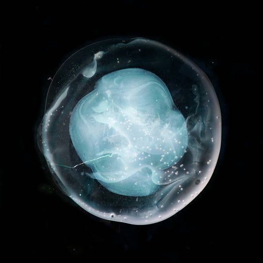 A Winged Victory For The Sullen : The Undivided Five (LP, Album, 180)