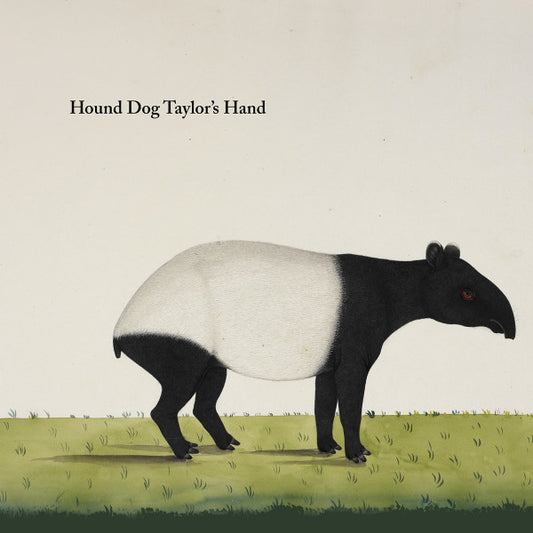 Hound Dog Taylor's Hand : Hound Dog Taylor's Hand (LP, Album)