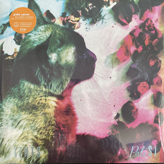 Pale Saints : The Comforts Of Madness 30th Anniversary Re:Masters (LP, Album + LP, Comp + Ltd, S/Edition, Cle)