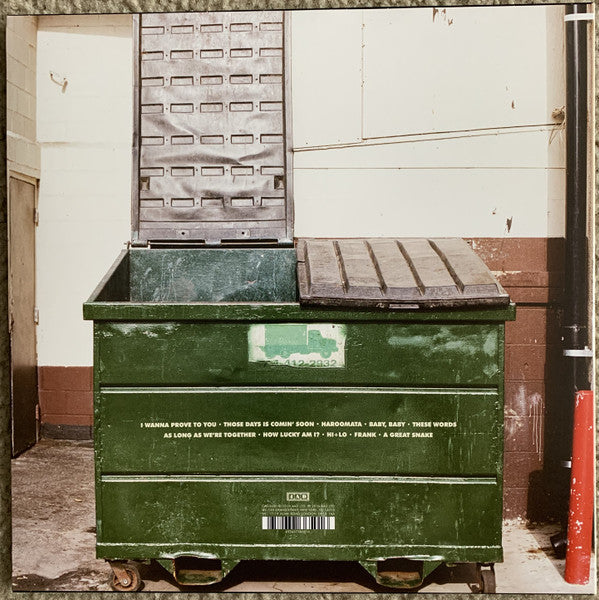 The Lemon Twigs : Do Hollywood (LP, Album)