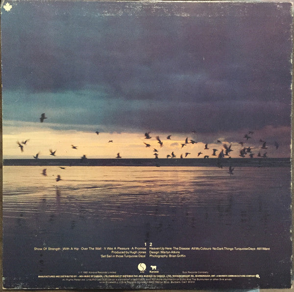 Echo & The Bunnymen : Heaven Up Here (LP, Album)